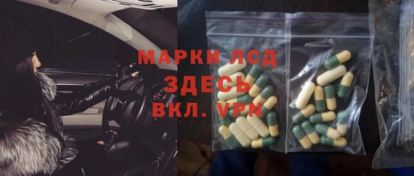 прущие грибы Баксан