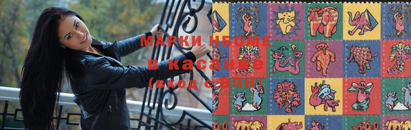 прущие грибы Баксан
